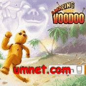 game pic for Amazing Pocket Voodoo